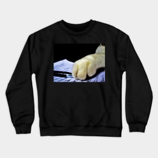 Cat burglar Crewneck Sweatshirt